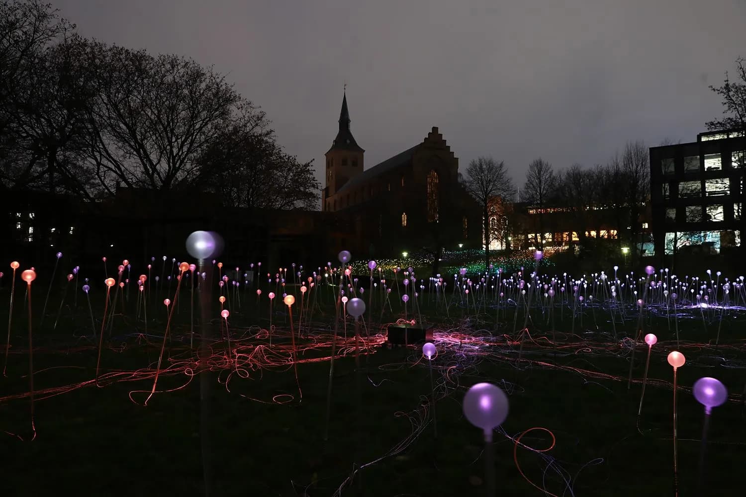 Field of Light