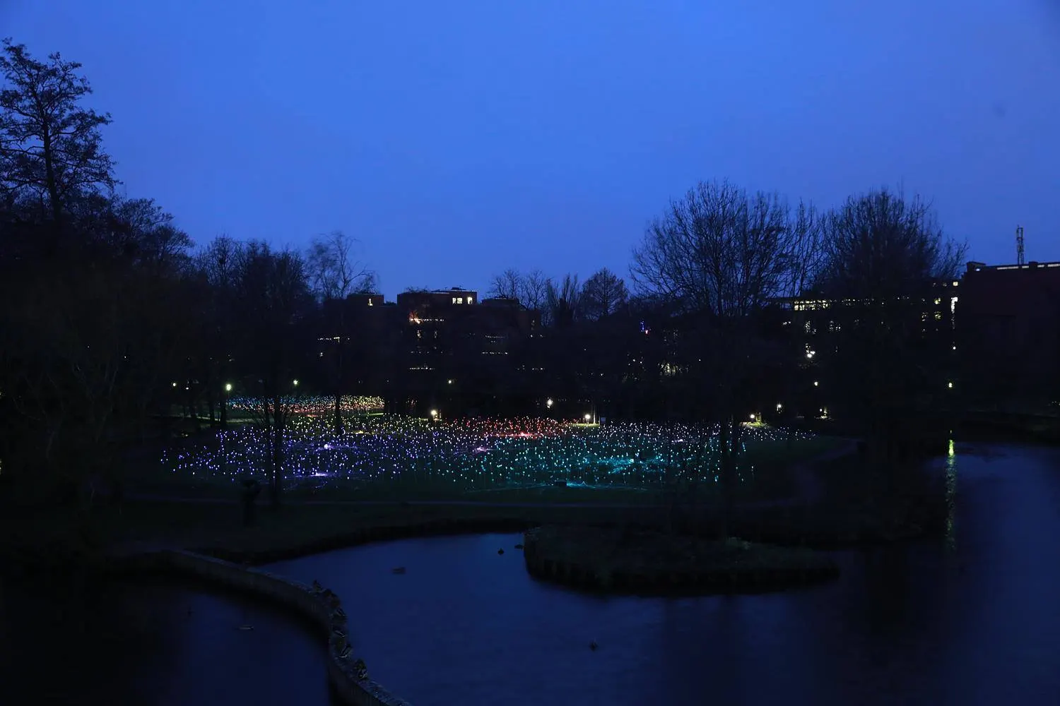 Field of Light