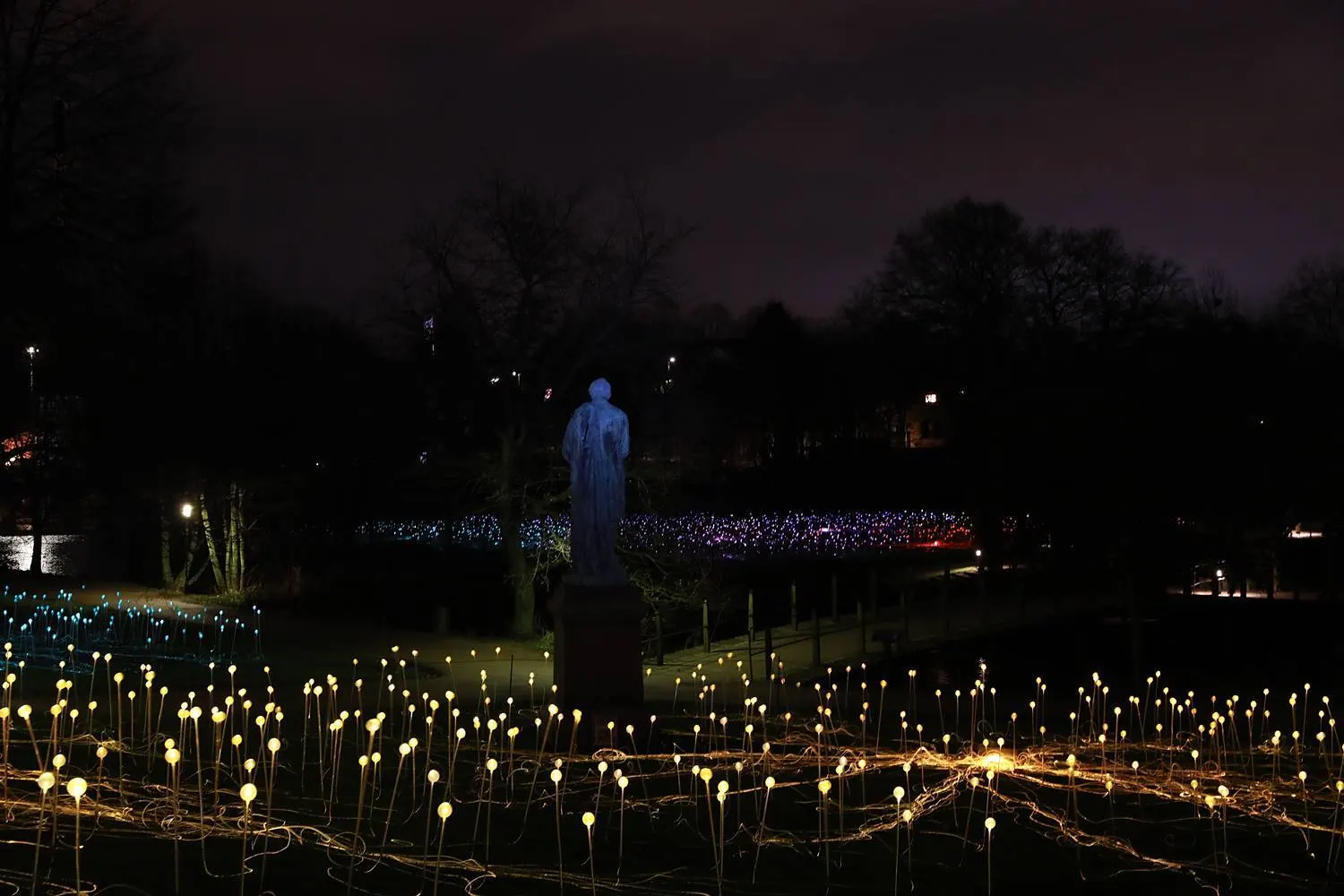 Field of Light
