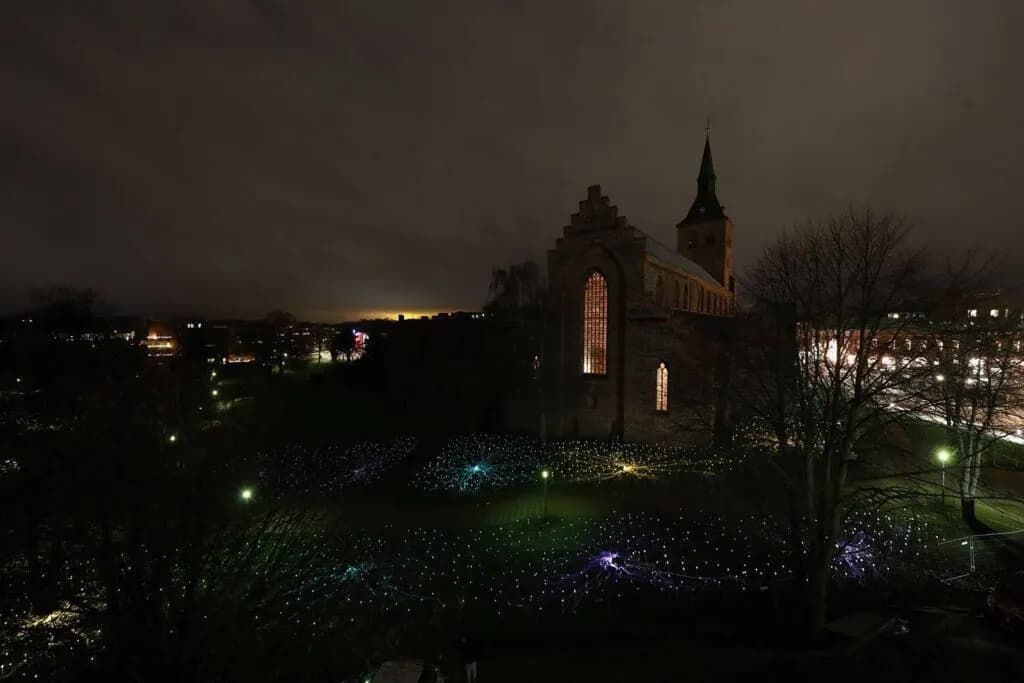 Field of Light